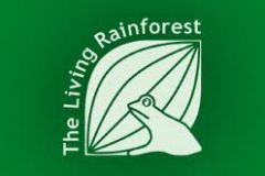 the-living-rainforest